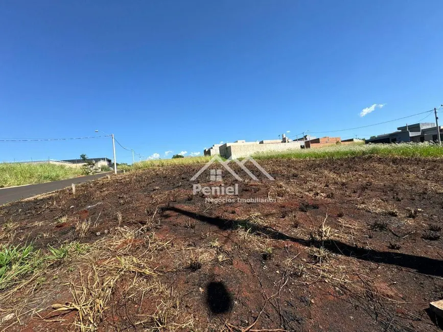 Foto 3 de Terreno / Lote à venda, 307m2 em Ribeirao Preto - SP