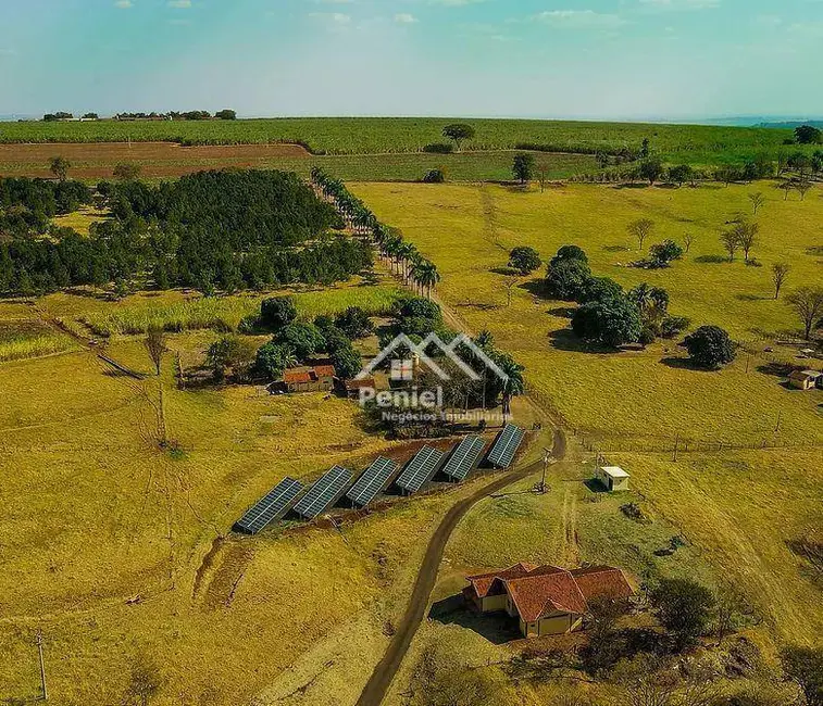 Foto 3 de Sítio / Rancho com 10 quartos à venda, 278300m2 em Brodowski - SP