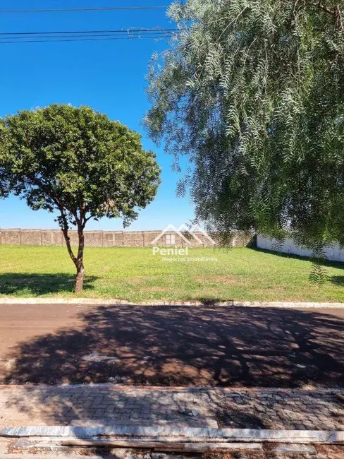 Foto 7 de Terreno / Lote à venda, 780m2 em Centro, Cravinhos - SP