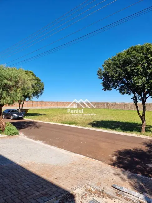 Foto 6 de Terreno / Lote à venda, 780m2 em Centro, Cravinhos - SP