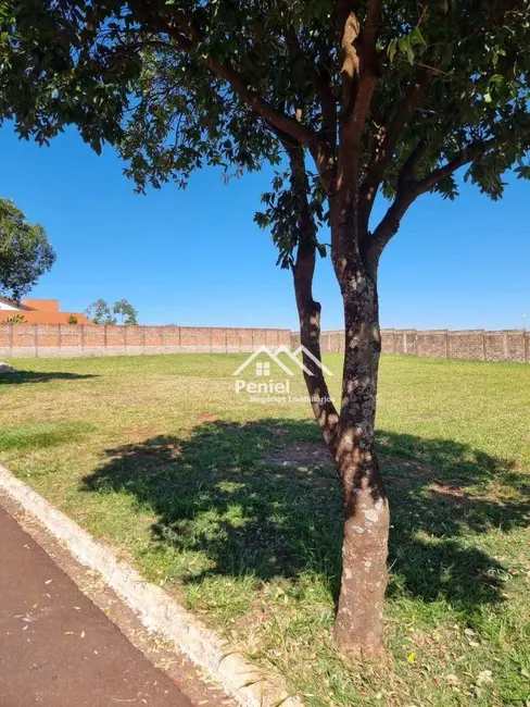 Foto 8 de Terreno / Lote à venda, 780m2 em Centro, Cravinhos - SP