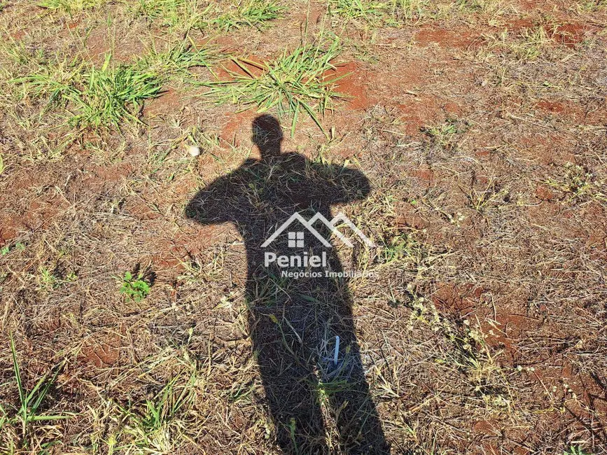 Foto 5 de Terreno / Lote à venda, 251m2 em Ribeirao Preto - SP