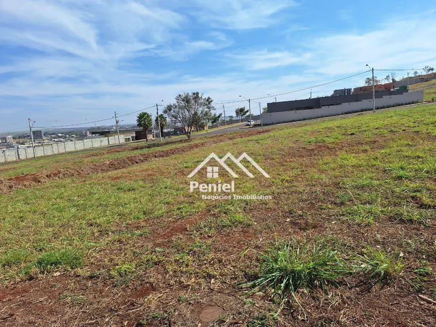 Foto 7 de Terreno / Lote à venda, 251m2 em Ribeirao Preto - SP