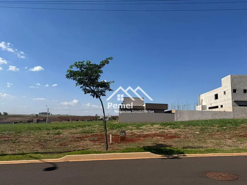Terreno / Lote à venda, 313m2 em Ribeirao Preto - SP - imagem 4 Foto 4 de Terreno / Lote à venda, 313m2 em Ribeirao Preto - SP