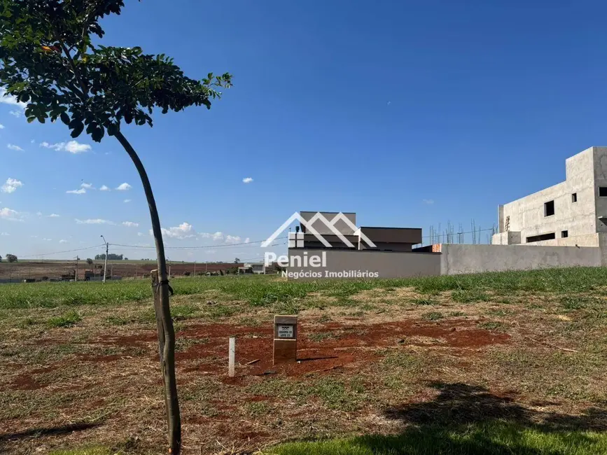 Terreno / Lote à venda, 313m2 em Ribeirao Preto - SP - imagem 6 Foto 6 de Terreno / Lote à venda, 313m2 em Ribeirao Preto - SP