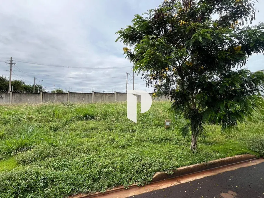Foto 2 de Terreno / Lote à venda, 250m2 em Recreio Anhangüera, Ribeirao Preto - SP