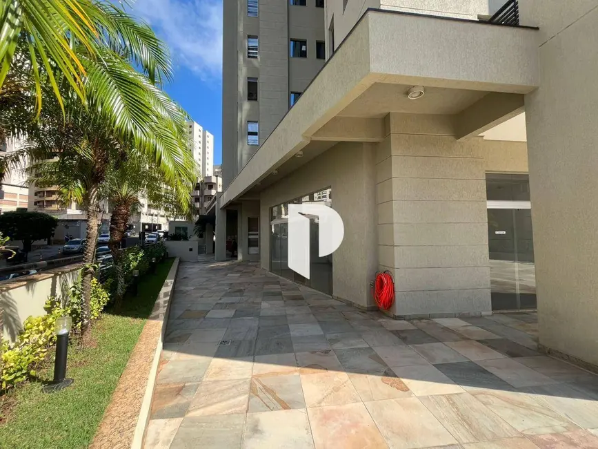 Sala Comercial à venda e para alugar, 248m2 em Jardim Botânico, Ribeirao Preto - SP - imagem 8 Foto 8 de Sala Comercial à venda e para alugar, 248m2 em Jardim Botânico, Ribeirao Preto - SP