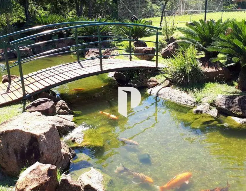 Terreno / Lote à venda, 520m2 em Ribeirao Preto - SP - imagem 8 Foto 8 de Terreno / Lote à venda, 520m2 em Ribeirao Preto - SP