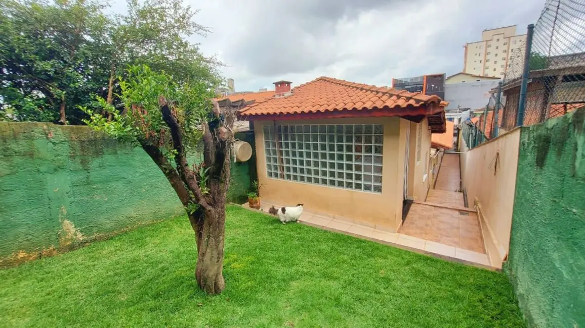 Casa com 2 quartos à venda, 120m2 em Ermelino Matarazzo, São Paulo - SP - imagem 8 Foto 8 de Casa com 2 quartos à venda, 120m2 em Ermelino Matarazzo, São Paulo - SP