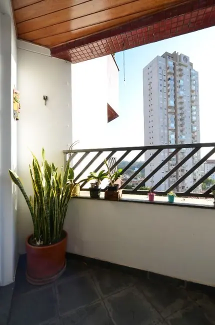 Apartamento com 3 quartos à venda, 93m2 em Vila Mascote, São Paulo - SP - imagem 5 Foto 5 de Apartamento com 3 quartos à venda, 93m2 em Vila Mascote, São Paulo - SP