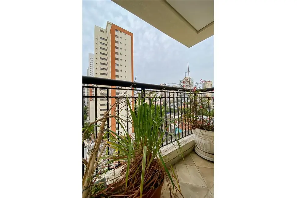 Apartamento com 3 quartos à venda, 240m2 em Higienópolis, São Paulo - SP - imagem 3 Foto 3 de Apartamento com 3 quartos à venda, 240m2 em Higienópolis, São Paulo - SP