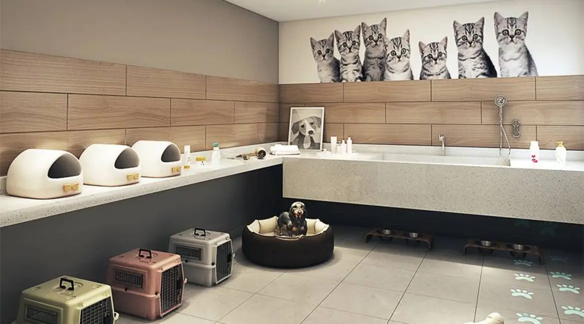 Apartamento com 2 quartos à venda, 41m2 em Mandaqui, São Paulo - SP - imagem 8 Foto 8 de Apartamento com 2 quartos à venda, 41m2 em Mandaqui, São Paulo - SP