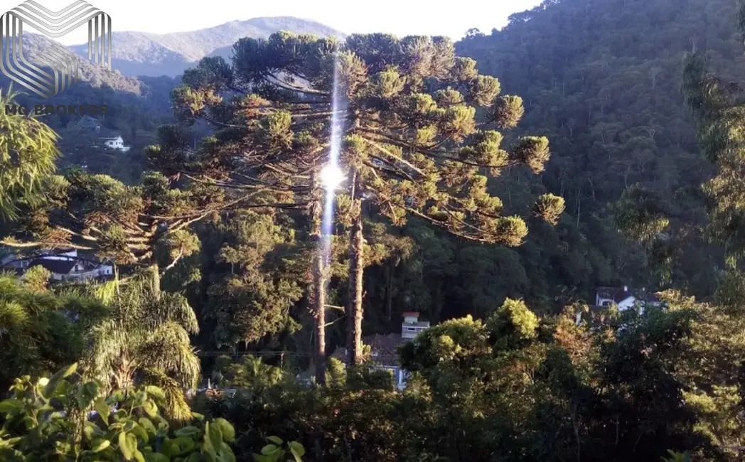 Apartamento com 2 quartos à venda, 177m2 em Centro, Petropolis - RJ - imagem 3 Foto 3 de Apartamento com 2 quartos à venda, 177m2 em Centro, Petropolis - RJ