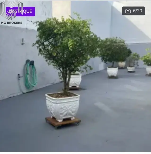 Foto 5 de Casa de Condomínio à venda em Barra da Tijuca, Rio De Janeiro - RJ