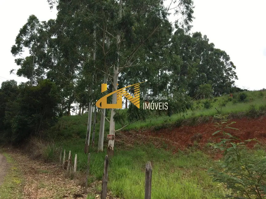 Foto 7 de Terreno / Lote à venda em Dom Vicoso - MG