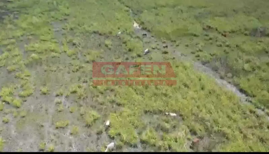 Fazenda / Haras à venda, 16777215m2 em Casimiro De Abreu - RJ - imagem 7 Foto 7 de Fazenda / Haras à venda, 16777215m2 em Casimiro De Abreu - RJ