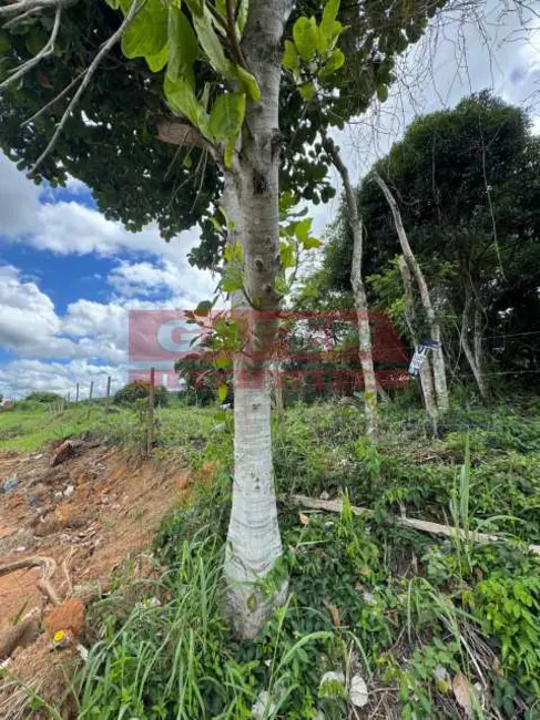 Foto 8 de Terreno / Lote à venda, 2400m2 em Armacao Dos Buzios - RJ