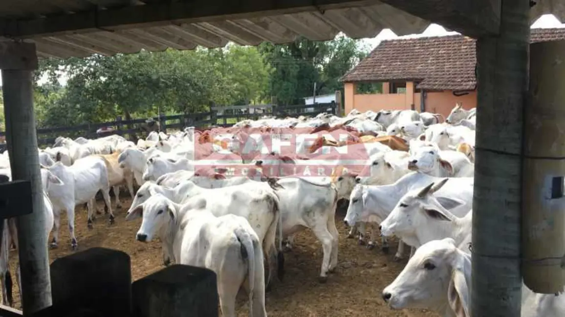 Foto 9 de Fazenda / Haras à venda, 2516800m2 em Araruama - RJ