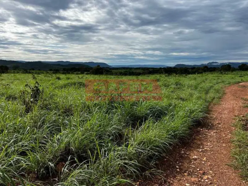 Foto 1 de Fazenda / Haras com 8 quartos à venda, 1900m2 em Catalao - GO