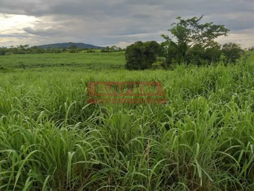 Foto 3 de Fazenda / Haras com 8 quartos à venda, 1900m2 em Catalao - GO