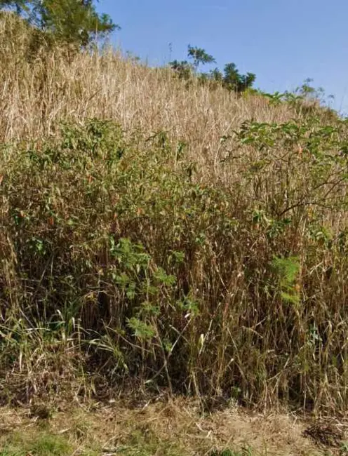 Foto 5 de Terreno / Lote à venda em Armacao Dos Buzios - RJ
