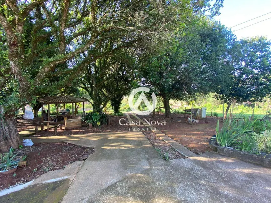 Chácara com 2 quartos à venda, 2800m2 em Pouso Alegre - MG - imagem 4 Foto 4 de Chácara com 2 quartos à venda, 2800m2 em Pouso Alegre - MG
