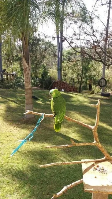 Chácara com 3 quartos à venda e para alugar, 26000m2 em Reforma Agrária, Valinhos - SP - imagem 3 Foto 3 de Chácara com 3 quartos à venda e para alugar, 26000m2 em Reforma Agrária, Valinhos - SP