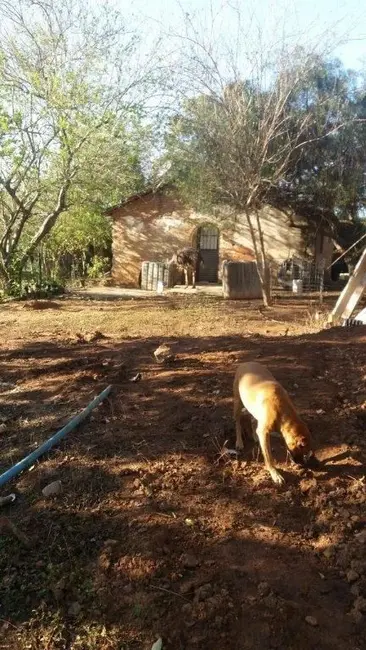 Chácara com 3 quartos à venda e para alugar, 26000m2 em Reforma Agrária, Valinhos - SP - imagem 7 Foto 7 de Chácara com 3 quartos à venda e para alugar, 26000m2 em Reforma Agrária, Valinhos - SP