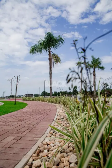 Foto 5 de Terreno / Lote à venda, 208m2 em Passo De Torres - SC