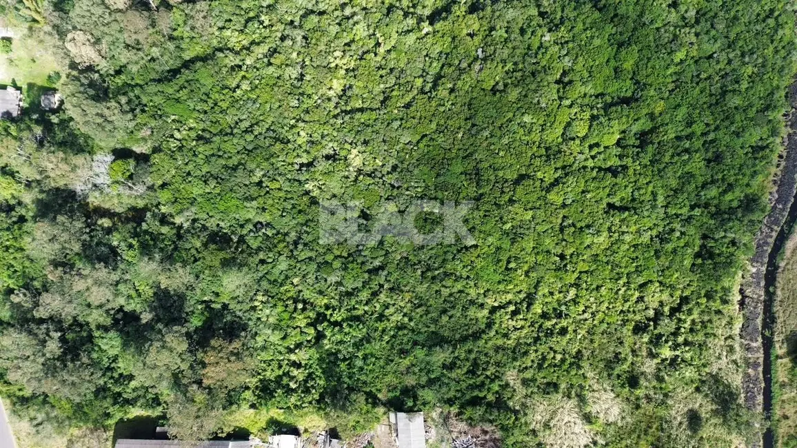 Foto 3 de Fazenda / Haras à venda, 23895m2 em Torres - RS