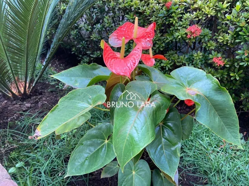 Foto 5 de Casa com 2 quartos à venda, 360m2 em Sarzedo - MG