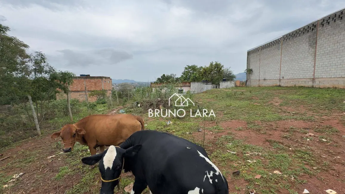 Foto 6 de Terreno / Lote à venda, 330m2 em Sao Joaquim De Bicas - MG