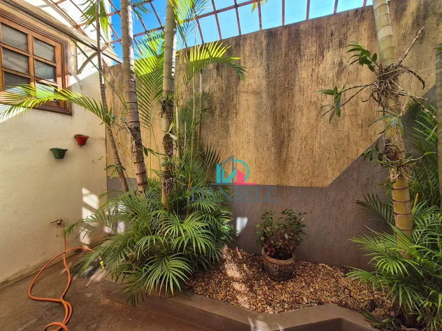 Casa com 3 quartos à venda, 354m2 em Centro, Araraquara - SP - imagem 5 Foto 5 de Casa com 3 quartos à venda, 354m2 em Centro, Araraquara - SP