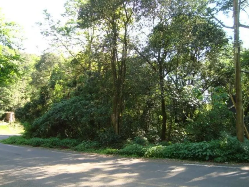 Foto 4 de Terreno / Lote à venda, 5624m2 em Country, Santa Cruz Do Sul - RS