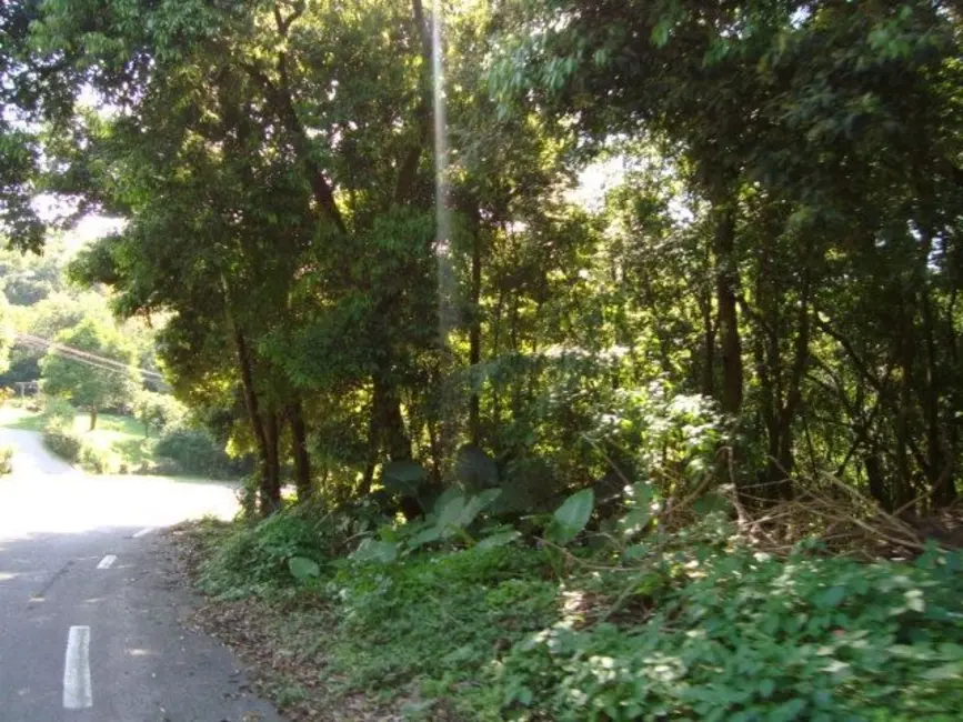 Foto 5 de Terreno / Lote à venda, 5624m2 em Country, Santa Cruz Do Sul - RS