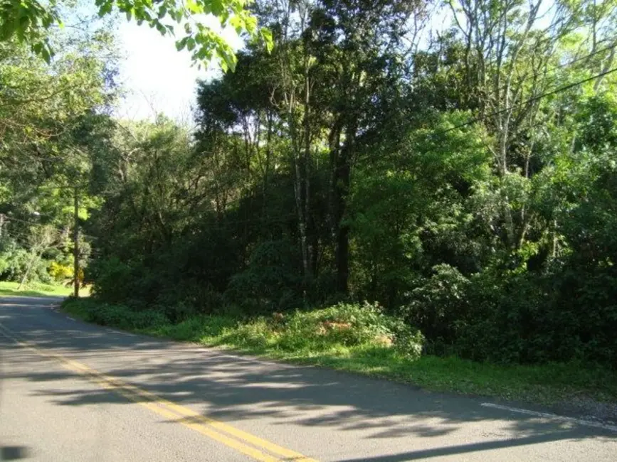 Foto 1 de Terreno / Lote à venda, 5624m2 em Country, Santa Cruz Do Sul - RS