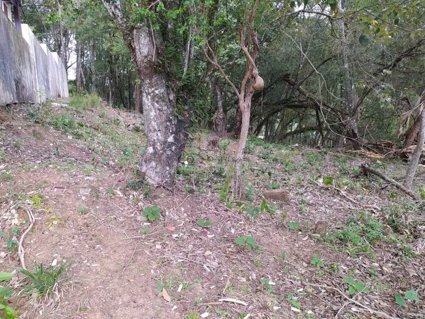 Terreno / Lote à venda, 525m2 em Higienópolis, Santa Cruz Do Sul - RS - imagem 3 Foto 3 de Terreno / Lote à venda, 525m2 em Higienópolis, Santa Cruz Do Sul - RS