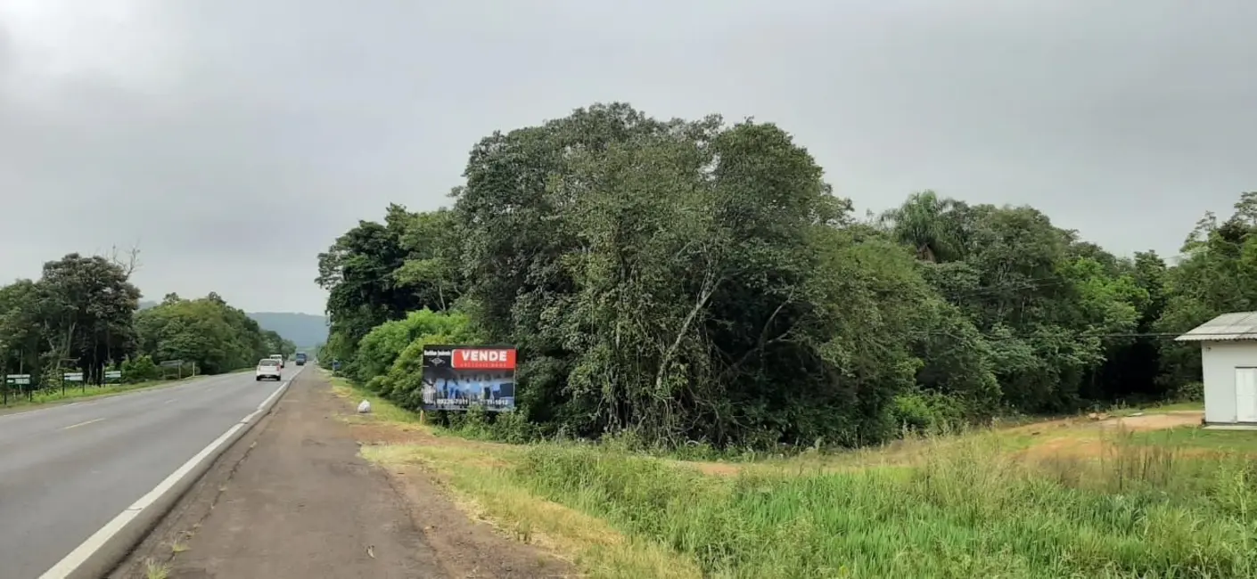 Terreno / Lote à venda, 7800m2 em Linha Santa Cruz, Santa Cruz Do Sul - RS - imagem 4 Foto 4 de Terreno / Lote à venda, 7800m2 em Linha Santa Cruz, Santa Cruz Do Sul - RS