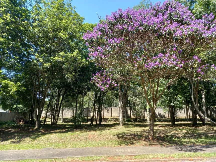 Foto 3 de Terreno / Lote à venda, 578m2 em Country, Santa Cruz Do Sul - RS