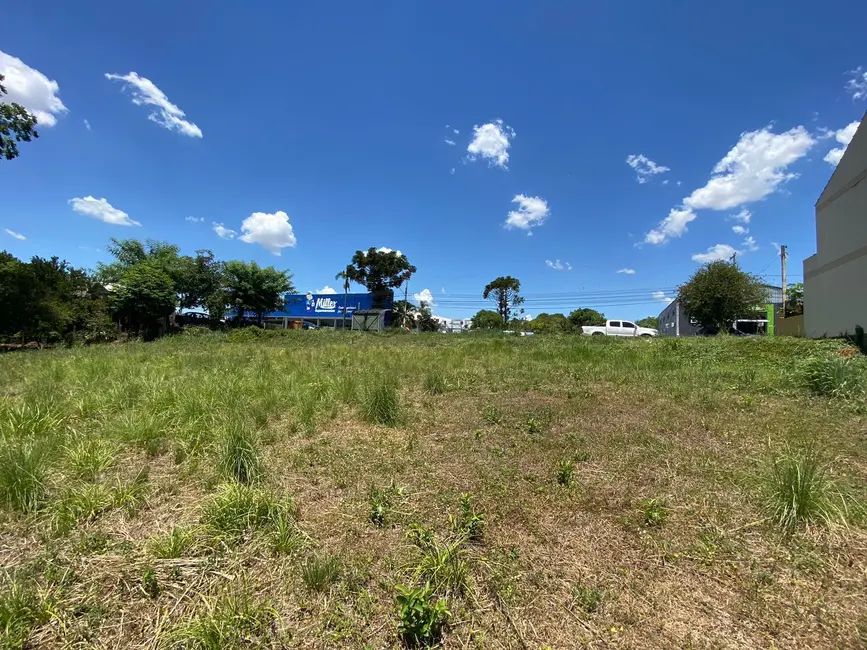 Terreno / Lote à venda, 1600m2 em Centro, Vera Cruz - RS - imagem 5 Foto 5 de Terreno / Lote à venda, 1600m2 em Centro, Vera Cruz - RS