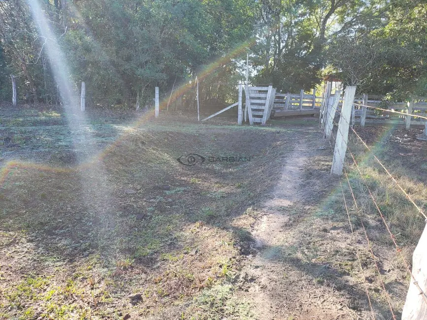 Foto 19 de Chácara com 3 quartos à venda, 200m2 em Santa Cruz Do Sul - RS