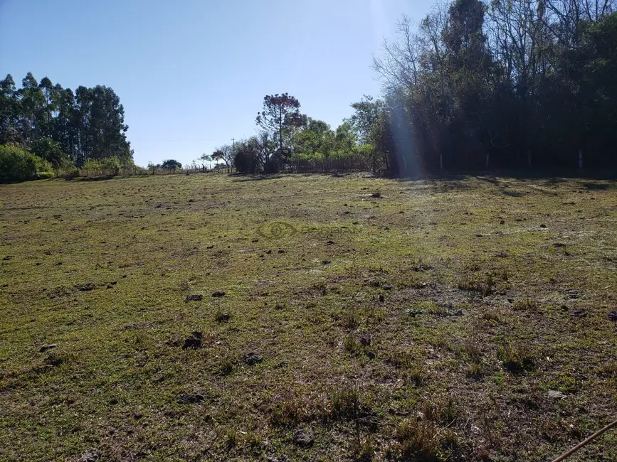 Foto 20 de Chácara com 3 quartos à venda, 200m2 em Santa Cruz Do Sul - RS
