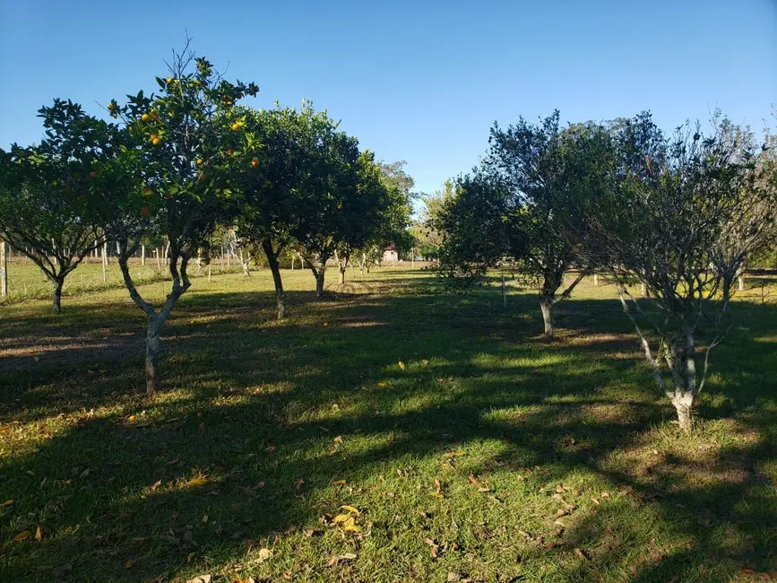 Foto 23 de Chácara com 3 quartos à venda, 200m2 em Santa Cruz Do Sul - RS
