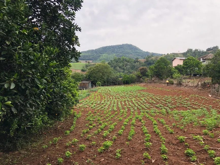 Foto 4 de Casa com 3 quartos à venda, 338m2 em Sinimbu - RS