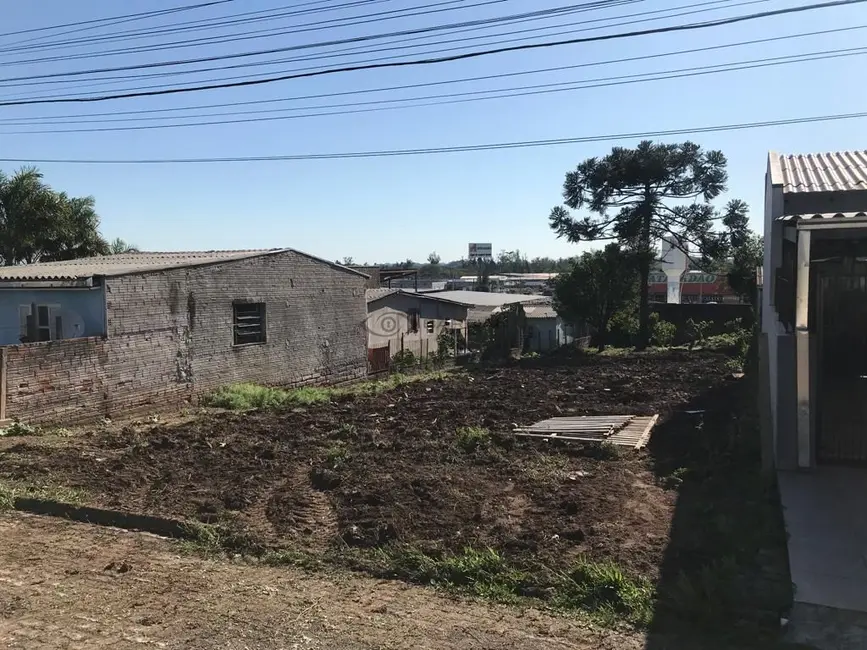 Foto 4 de Terreno / Lote à venda, 550m2 em Goiás, Santa Cruz Do Sul - RS