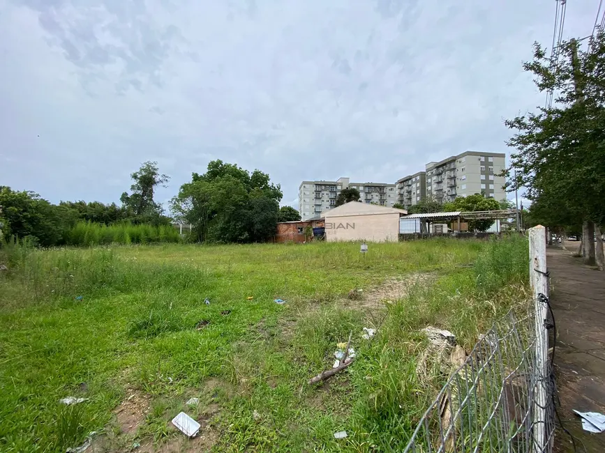 Terreno / Lote à venda, 1950m2 em Senai, Santa Cruz Do Sul - RS - imagem 3 Foto 3 de Terreno / Lote à venda, 1950m2 em Senai, Santa Cruz Do Sul - RS