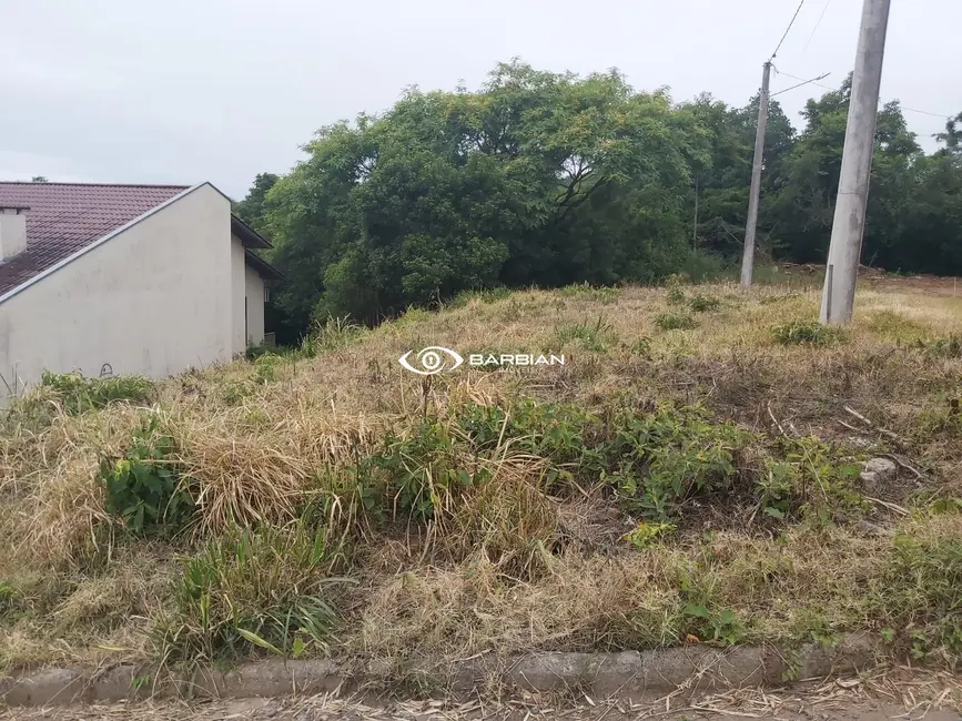 Foto 1 de Terreno / Lote à venda, 300m2 em Aliança, Santa Cruz Do Sul - RS