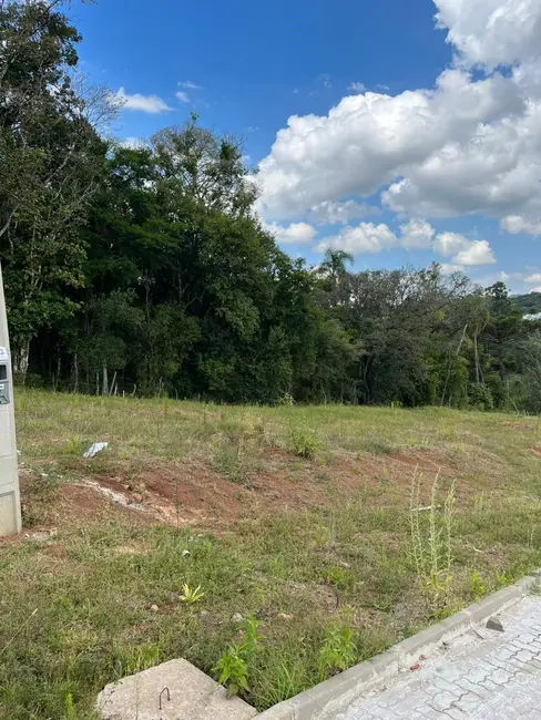 Foto 2 de Terreno / Lote à venda, 301m2 em Aliança, Santa Cruz Do Sul - RS