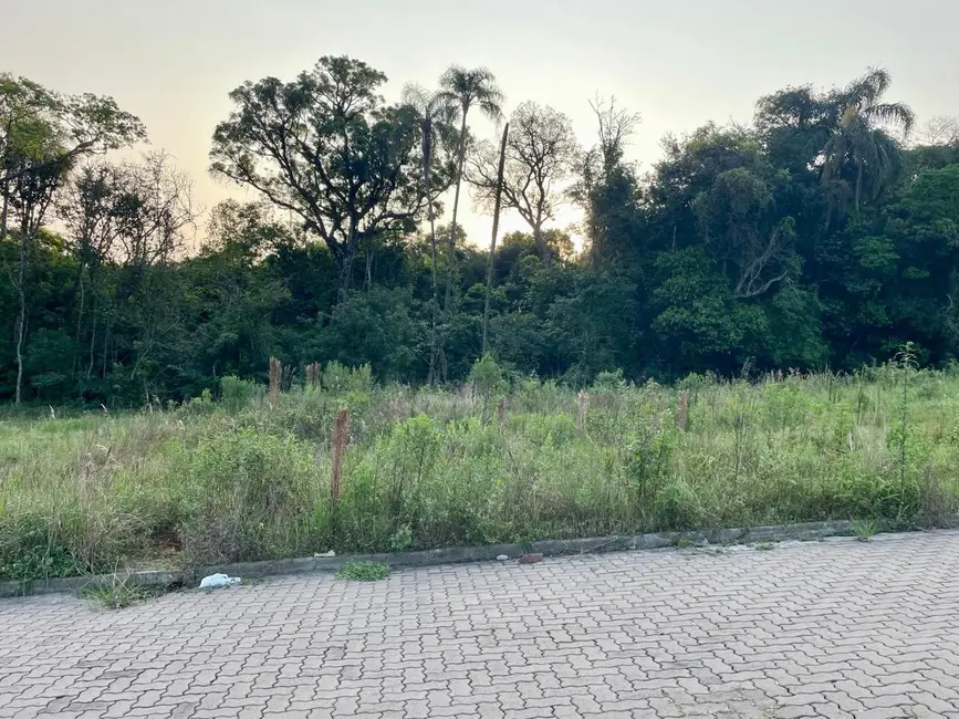 Foto 1 de Terreno / Lote à venda, 301m2 em Aliança, Santa Cruz Do Sul - RS