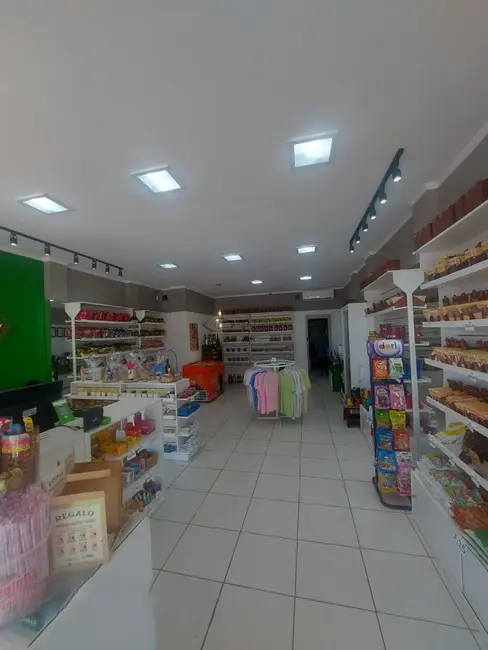 Foto 3 de Loja com 1 quarto à venda, 21m2 em Vera Cruz - RS